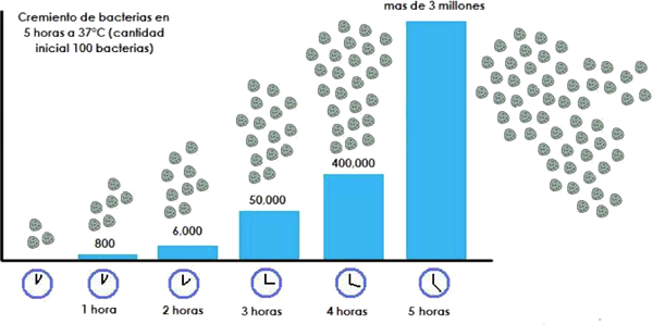 manipulacion_de_alimentos