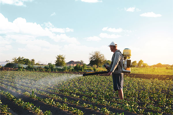 Uso de plaguicidas en la producción de alimentos